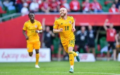 2024欧预赛附加赛决赛 威尔士vs波兰,晋级2024欧预赛附加赛决赛