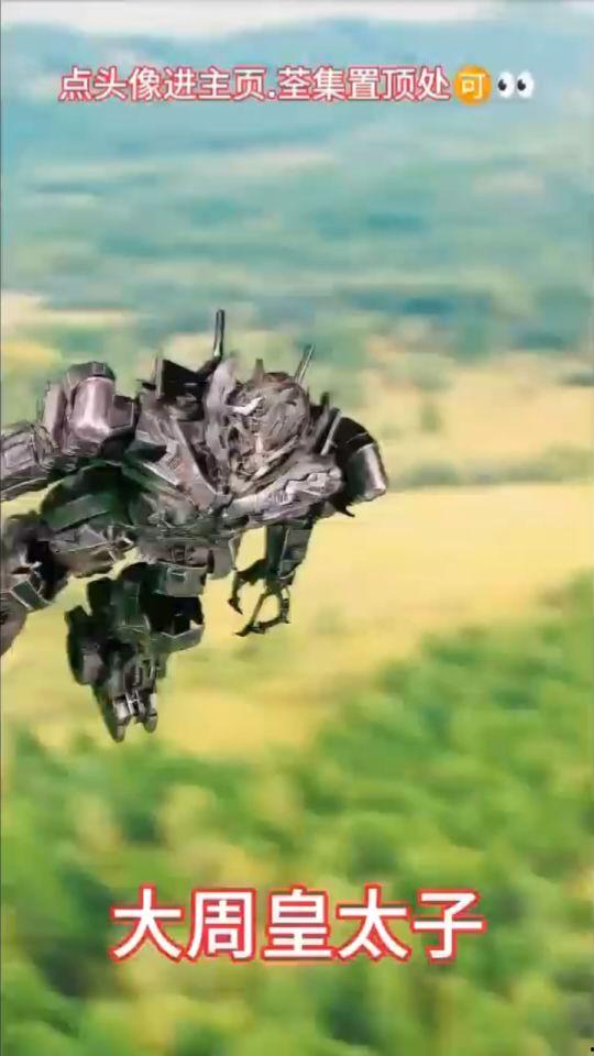 大周皇太子,传奇皇位争夺者的风云岁月