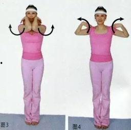 绳和乳房,探索人类情感与束缚的交织