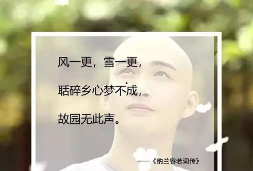 容先生你的爱意藏不住了