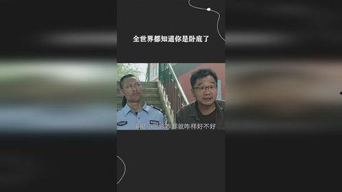 就算全世界都误会我，我也要完成我卧底的使命。,卧底心中的坚定与执着