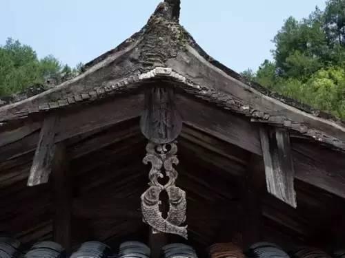 悬鱼:她的局,揭秘她的神秘世界