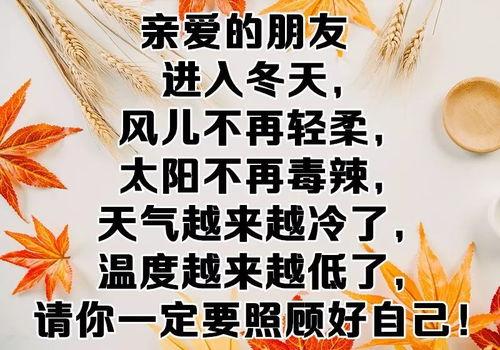 了不起的谢轻轻,了不起的追梦人，用坚韧书写人生传奇