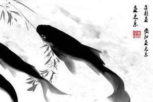 子非鱼,探寻东方哲学的智慧之光